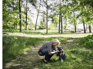 Hyr ett 2-rums lägenhet på 54 m² i Göteborg