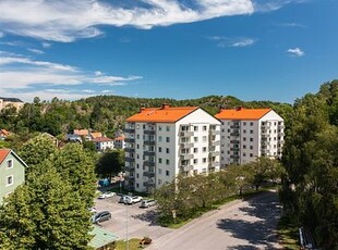 Tureborg, Uddevalla, Västra Götaland