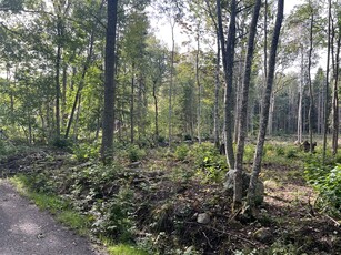 Villa till salu på i Väddö - Mäklarhuset