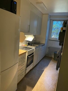 Looking for flatmate in Lunden