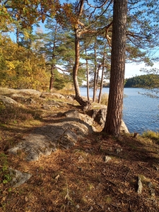 Apartment - Gebersvägen Sköndal