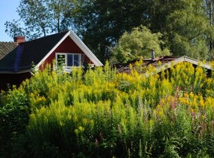 Järnvägsparken: Stor tvåa med snedtak