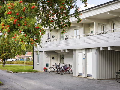 2 rums lägenhet i Skellefteå