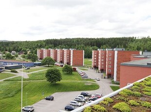 Midälva, Sundsvall, Västernorrland