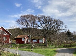 Cottage - Myggstad Lycke