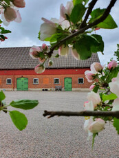 Apartment - Olma Gård Svalöv