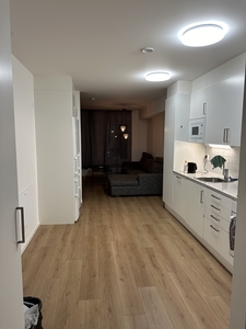 Apartment - Blåsebergavägen Malmö