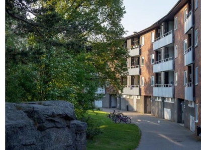 Hyr ett 2-rums lägenhet på 57 m² i Göteborg