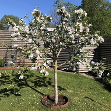 Radhus till salu på Penngränd 2C i Halmstad - Mäklarhuset