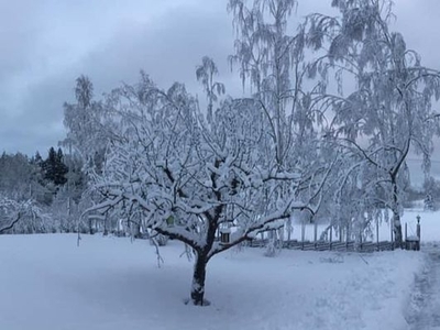 Villa på Saltarö/Värmdö för den lilla familjen