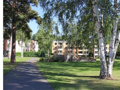 lägenhet – vetlanda