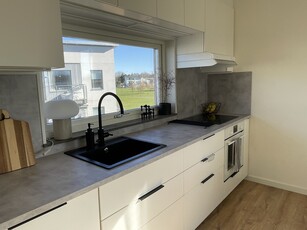 Apartment - Vildrosgatan Helsingborg