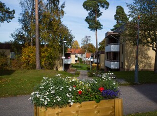 Holmsundsallén 15