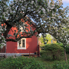 3 rums lägenhet i Åshammar