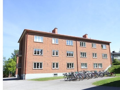 Hyr ett 1-rums studentbostad på 24 m² i Sundsvall