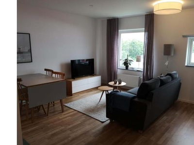 Homely 1-bedroom apartment near the Lund University