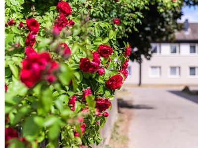 Hyr ett 3-rums lägenhet på 81 m² i Linköping