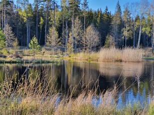 Gård till salu på Tivedstorp 7 i Tived - Mäklarhuset